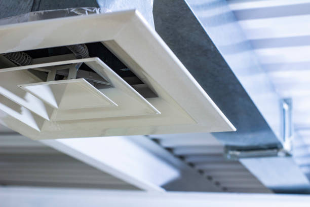 Best Professional Duct Cleaning Services  in Lake Leann, MI