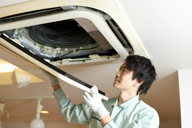 Best Affordable Air Duct Cleaning  in Lake Leann, MI